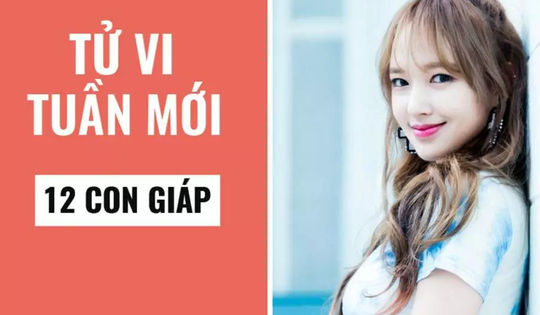 Dự báo tử vi tuần mới tới 5/5/2024 chi tiết về sự nghiệp, tài lộc và tình cảm của các tuổi Tý, Sửu, Dần, Mão, Thìn, Mùi, Thân, Tuất, Hợi