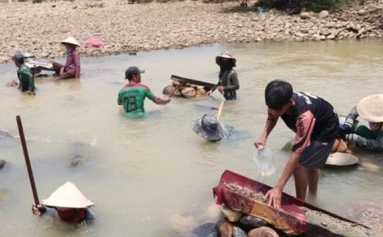 Clip: Người dân Quảng Nam đổ xô xuống sông đãi cát tìm vàng