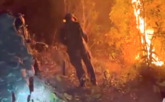 4 người nghi liên quan vụ cháy rừng liên huyện ở Nghệ An