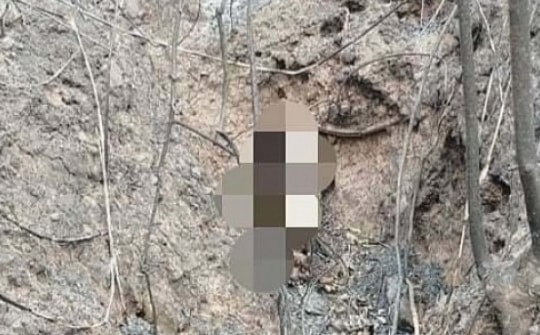 Ba bố con thiệt mạng do cháy rừng khi đi săn dúi