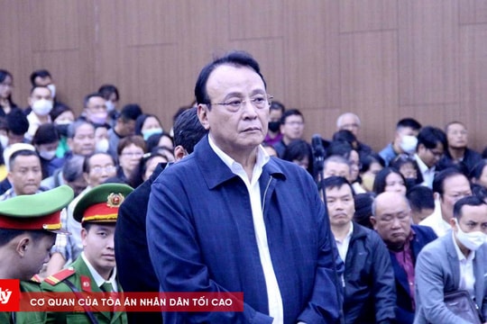 Vụ án Tân Hoàng Minh: Bị cáo Đỗ Anh Dũng kháng cáo xin giảm nhẹ hình phạt