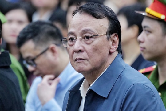 Chủ tịch Tân Hoàng Minh Đỗ Anh Dũng xin giảm nhẹ án tù