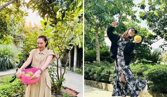 Mỹ Tâm khoe cây xoài khá đặc biệt, để lộ không gian đẹp bên hồ trong nhà vườn