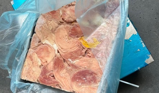 TPHCM: Phát hiện, tạm giữ gần 8 tấn thực phẩm đông lạnh không rõ nguồn gốc