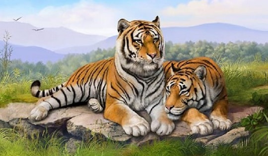 Tử vi tuần mới 6/5 – 12/5/2024: 4 con giáp mở cửa đón quý nhân, tài chính gặp may