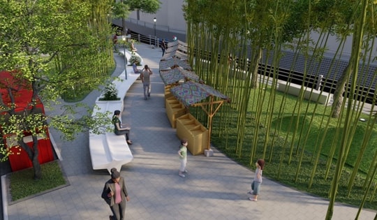 Hà Nội sẽ có cả 'rừng trúc' xung quanh hồ Trúc Bạch