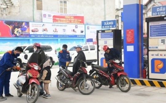 Sở hữu “kho tiền” hơn 1 tỷ USD, đại gia xăng đầu Petrolimex thu được bao nhiêu tiền lãi?