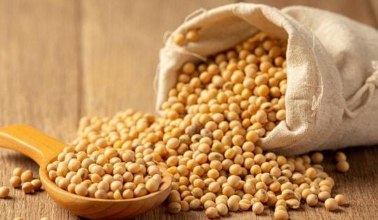 Đậu nành có ảnh hưởng đến sức khỏe tình dục của nam giới không?