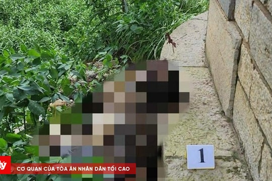 Phát hiện thi thể không nguyên vẹn, đã khô dưới chân cầu Long Biên