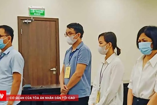 Vi phạm quy định đấu thầu, nguyên cán bộ Bệnh viện Ba Vì lĩnh án