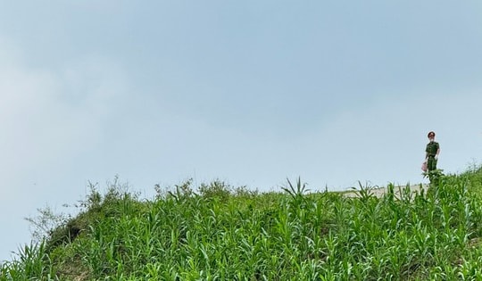 Xe mất lái, vợ chồng du khách Đức lao xuống vực sâu 40m ở Hòa Bình