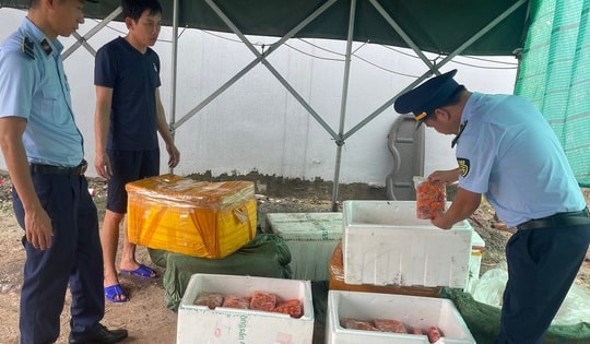 Gần 1.000kg trứng non không xuất xứ, đựng trong thùng xốp sơ sài, sẵn sàng phục vụ thực khách