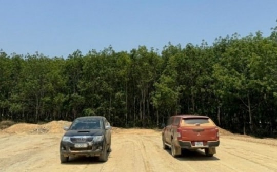 Cân nhắc bán "cây đứng" hay "cây nằm" liên quan dự án cao tốc