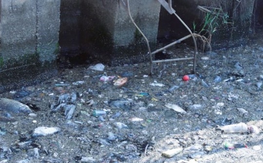 Sau mưa, cá chết, rác nổi lềnh bềnh trên kênh Nhiêu Lộc