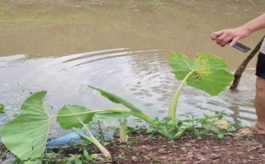 3 ông cháu tử vong dưới hố nước sâu