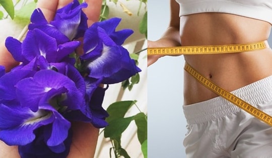 Chuyên gia phân tích cách giảm cân với trà hoa đậu biếc không phải ai cũng biết
