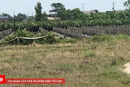 Phát hiện một thi thể đang phân hủy trong vườn thanh long