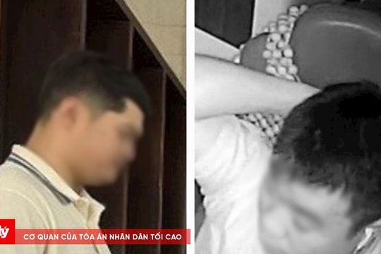 Truy tố tài xế và Phó Giám đốc Công ty Thành Bưởi