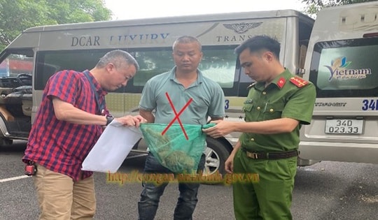 Bắt người đàn ông vận chuyển trái phép 2 cá thể Culi còn sống