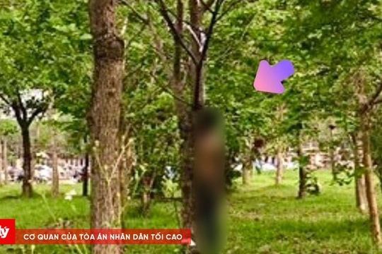 Điều tra vụ người đàn ông tử vong trong tư thế treo cổ dưới gầm cầu Nhật Tân