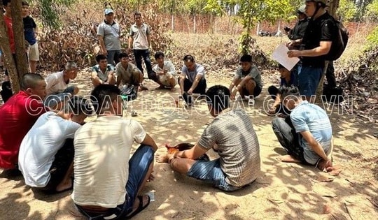 Bắt quả tang 11 đối tượng tham gia đá gà ăn tiền