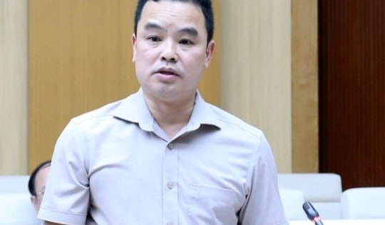 Tạm giữ Giám đốc Khu di tích lịch sử Đền Hùng