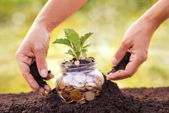 Dự kiến sẽ chỉ còn 4 trường hợp được miễn tiền sử dụng đất từ 2025