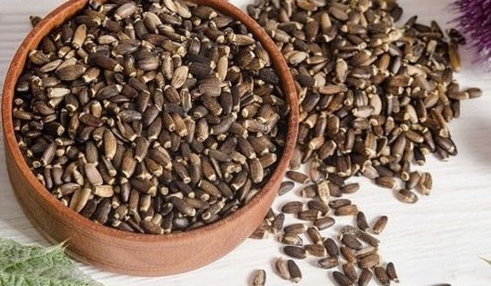 10 thảo dược trị ho hiệu quả