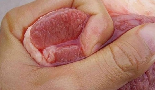 Đi chợ mua thịt lợn chỉ cần nhìn 5 điểm này là biết thịt sạch hay bẩn