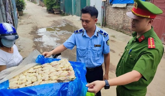 Tiểu thương Hà Nội lợi dụng 'nhà không số, phố không tên', ngang nhiên kinh doanh cánh gà nhiều 'không'