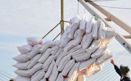 Doanh nghiệp xuất khẩu gạo trúng thầu nhiều lô hàng lớn vẫn… thua lỗ