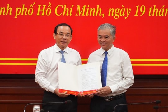 Điều động Phó Chủ tịch thành phố làm Trưởng Ban Nội chính Thành ủy