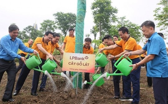 Cùng LPBank phủ xanh Việt Nam trong Ngày hội trồng cây năm 2024