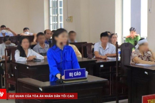 Trả hồ sơ điều tra bổ sung vụ chủ nợ tự sát vì “sập bẫy” lừa tinh vi