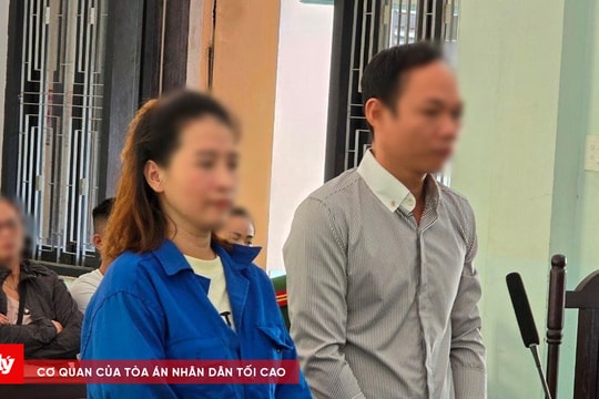 Tổ chức cho nhiều người xuất cảnh trái phép