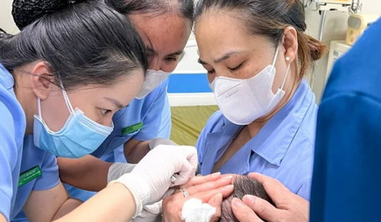 Khách sạn thuê người phá tổ ong, nhiều người đi đường bị đốt nhập viện