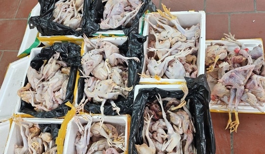 Kinh hoàng gần 200kg thịt gà hôi thối, chảy nước đang trên đường giao đến các điểm bán