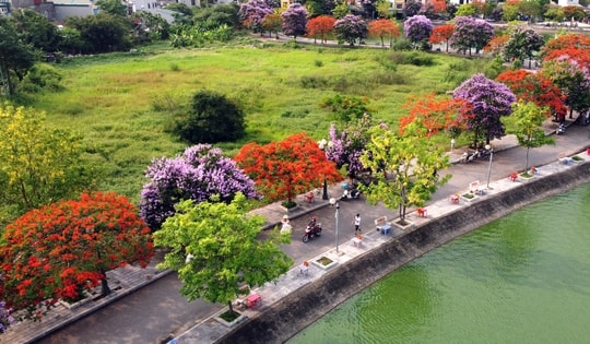 Con đường hoa độc, lạ, hút người dân đến check in tại TP. Thanh Hóa