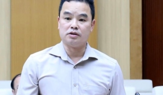 Vì sao Giám đốc Khu di tích lịch sử Đền Hùng bị bắt?