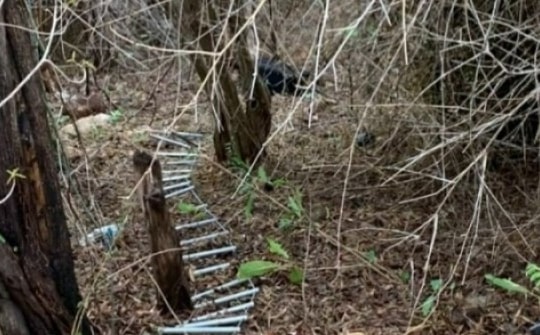 Xác cô gái bị sát hại giấu trong vali bỏ trên núi tại Vũng Tàu