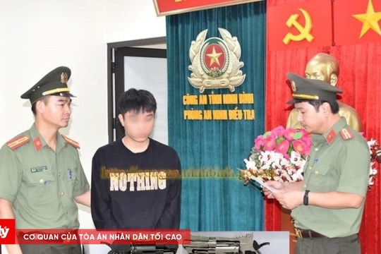 Mua 2 khẩu súng trên mạng đem bán kiếm lời