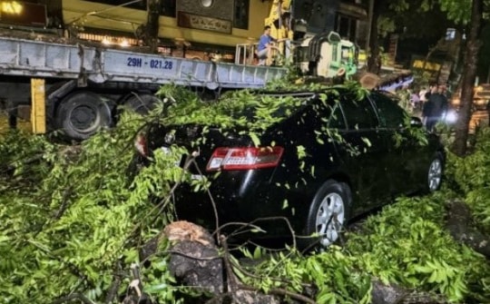 Tuần tới miền Bắc và Nam mưa giông