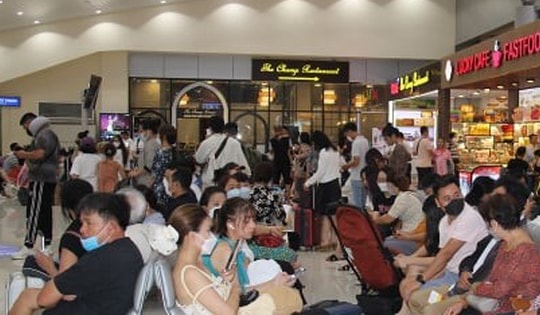 Giá vé máy bay giảm gần 50%, khách háo hức tìm tour du lịch trong nước