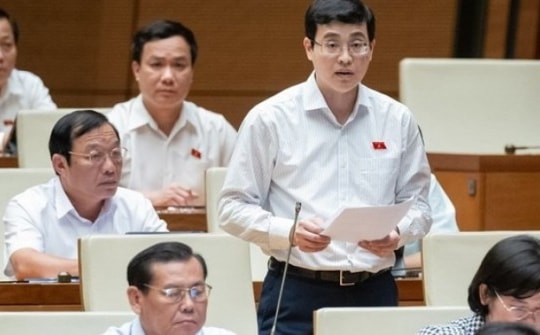 ĐBQH đề nghị cân nhắc quy định hưởng chế độ thai sản với lao động nữ hiếm muộn