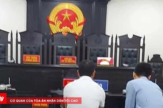 Bồi thường thu hồi đất sai, hai cựu cán bộ xã ở Hà Nội nhận kết đắng