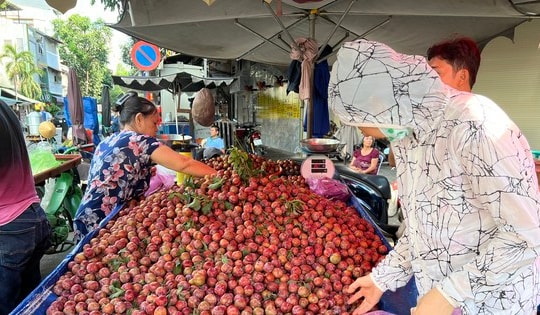 Mận hậu đổ bộ Sài thành, 'giá nào cũng có'