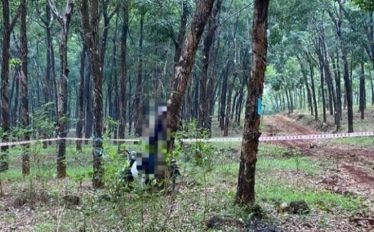 Người đàn ông chết trong tư thế treo cổ ở vườn cao su