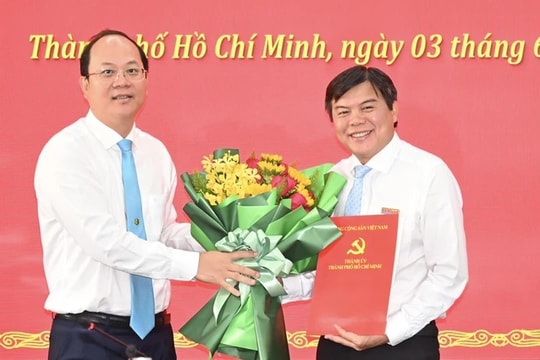 Bổ nhiệm Tổng Biên tập giữ chức Phó Trưởng Ban Tuyên giáo Thành ủy