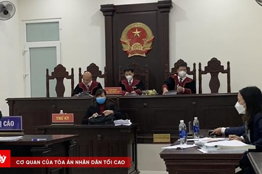 Hoãn phiên toà phúc thẩm vụ án lừa đảo mua bán đất chiếm đoạt tiền