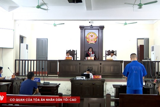 Lái xe đâm vào Cảnh sát giao thông, lĩnh 42 tháng tù